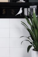 Malaysia EX White Matte 12 x 24